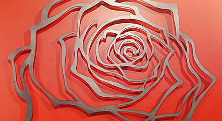 Bild Rose